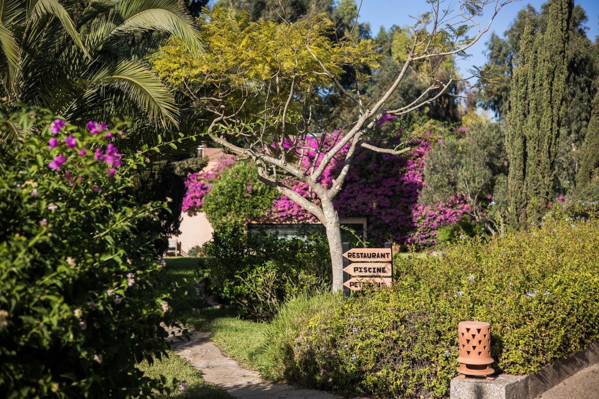 Bed and Breakfast Dar Maktoub Agadir Esterno foto